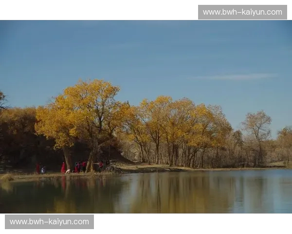 权力的交接与孤傲的守望:2010年湖雷大战,那场划破时代的雷鸣 权力的交接与孤傲的守望:2010年湖雷大战,那场划破时代的雷鸣